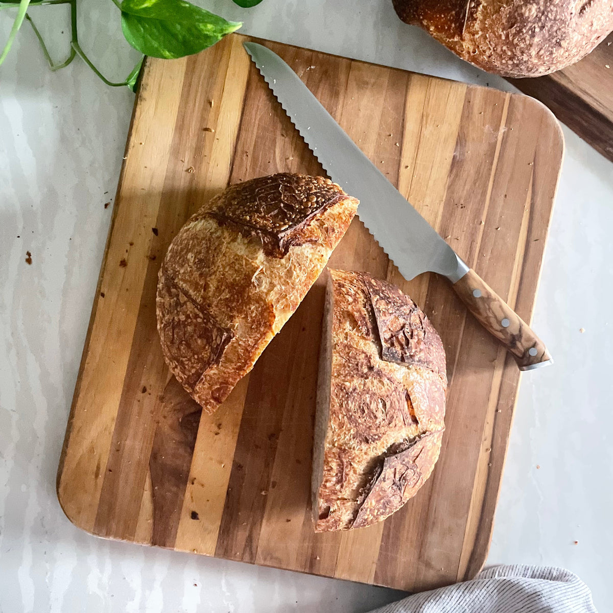 Best Bread Knife for Sourdough Under $100